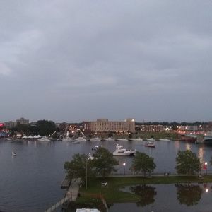 Meet your Posher, Holly